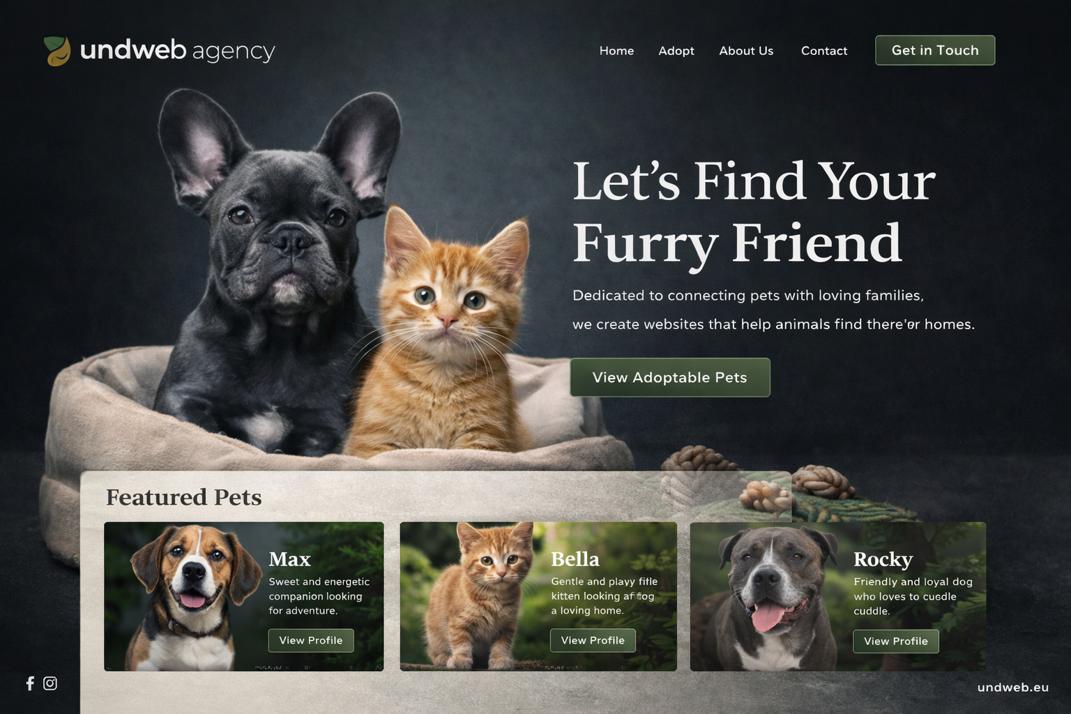 Internetiniu svetainiu kūrimas. Website development, website creating agency