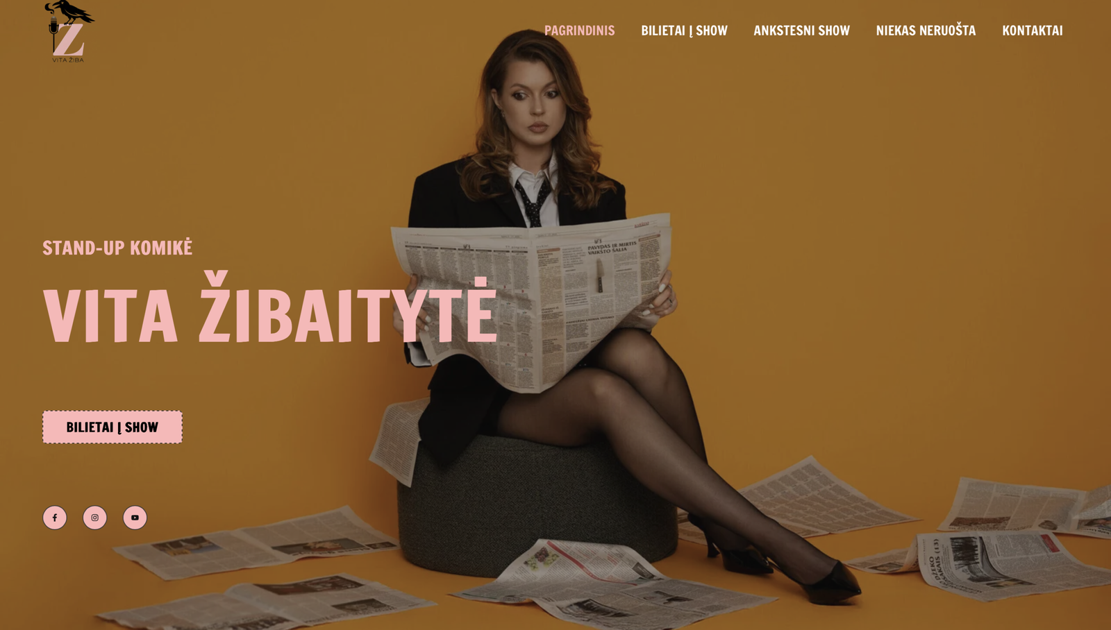 Internetiniu svetainiu kūrimas. Website development, website creating agency