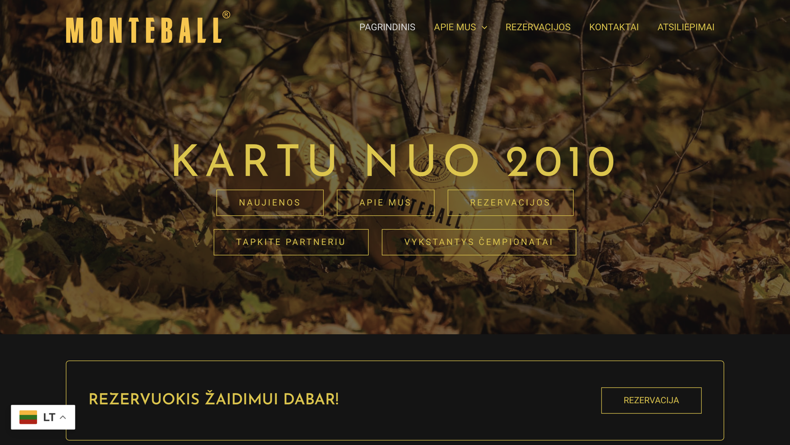 Internetiniu svetainiu kūrimas. Website development, website creating agency