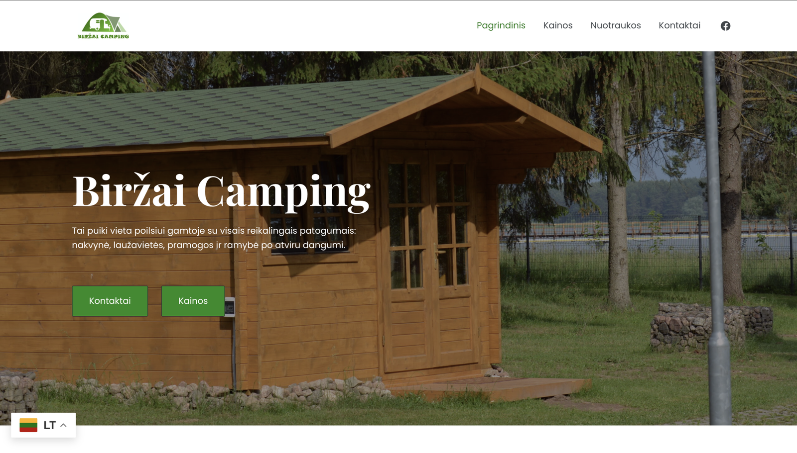 Internetiniu svetainiu kūrimas. Website development, website creating agency