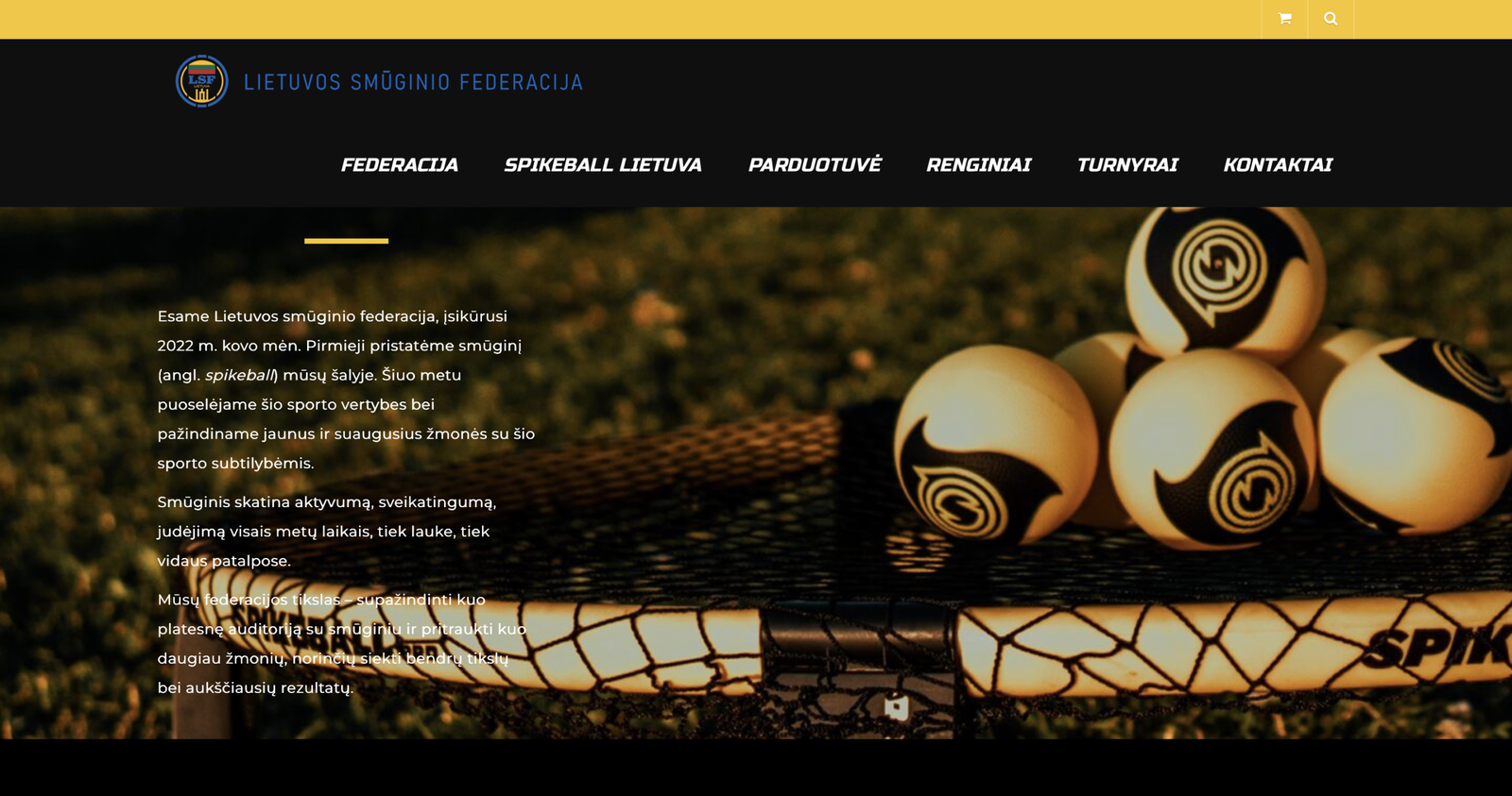 Internetiniu svetainiu kūrimas. Website development, website creating agency