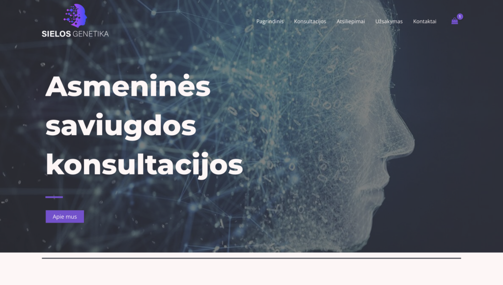 Internetiniu svetainiu kūrimas. Website development, website creating agency